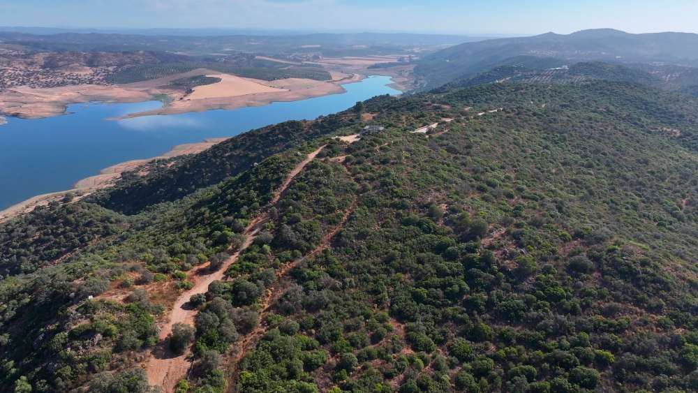 Embalse José Torán