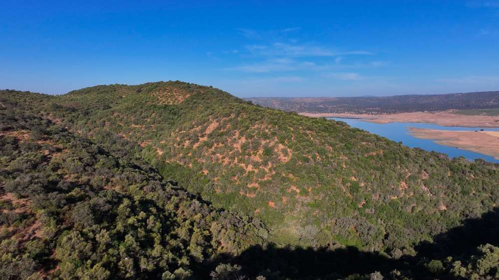 Embalse José Torán