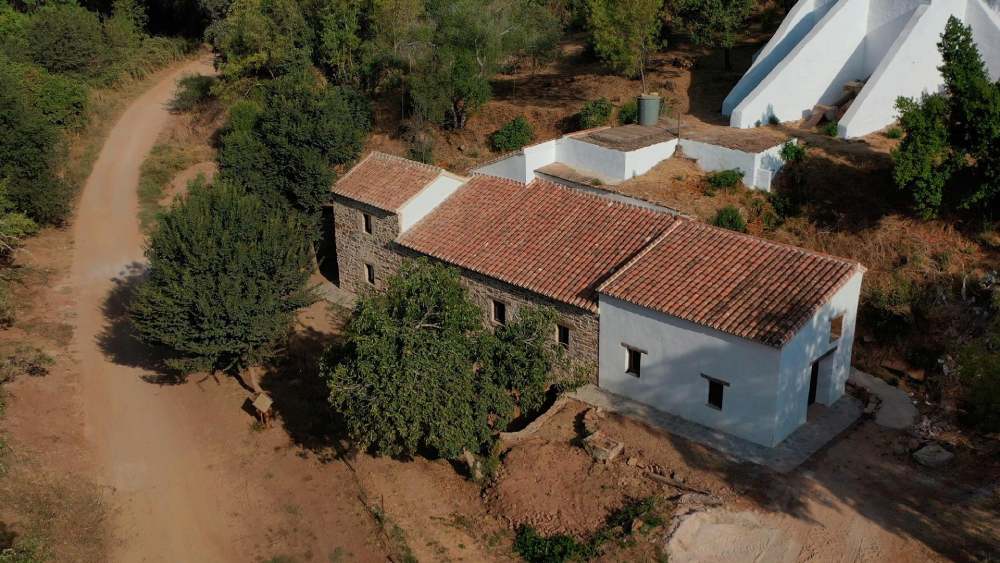 Aerial view of a mill