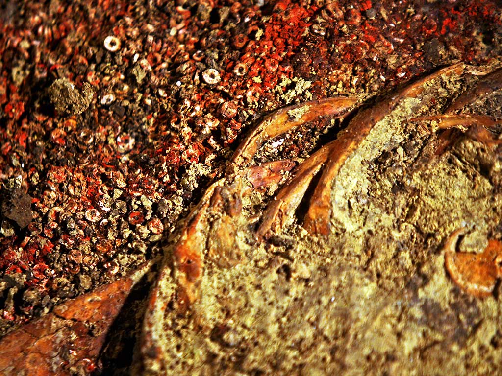 Restos oseos, tunica, cuentas y cinabrio