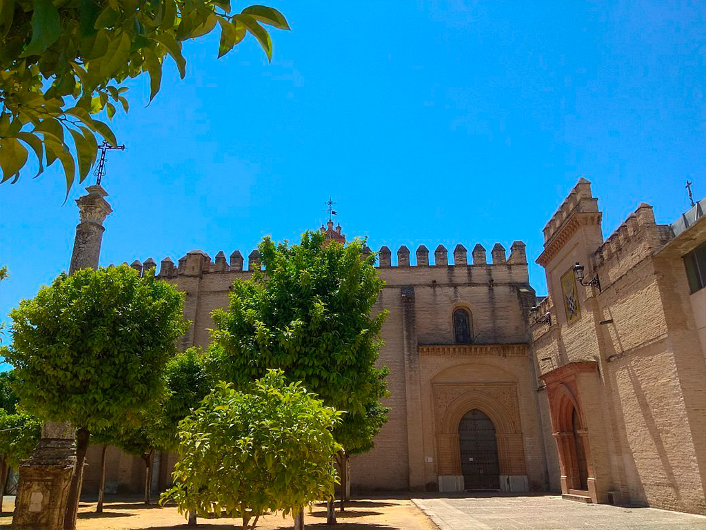 Orange Tree Courtyard