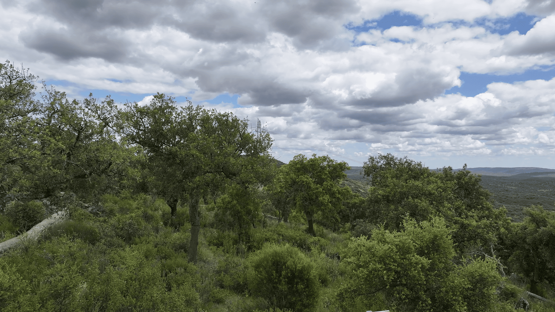 Finca La Traviesa y Necrópolis