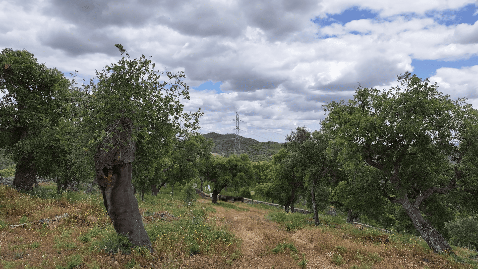Finca La Traviesa y Necrópolis
