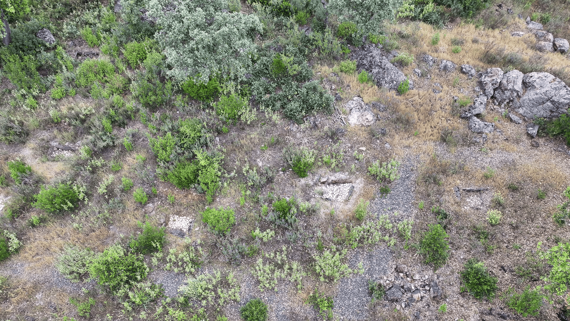 Finca La Traviesa y Necrópolis