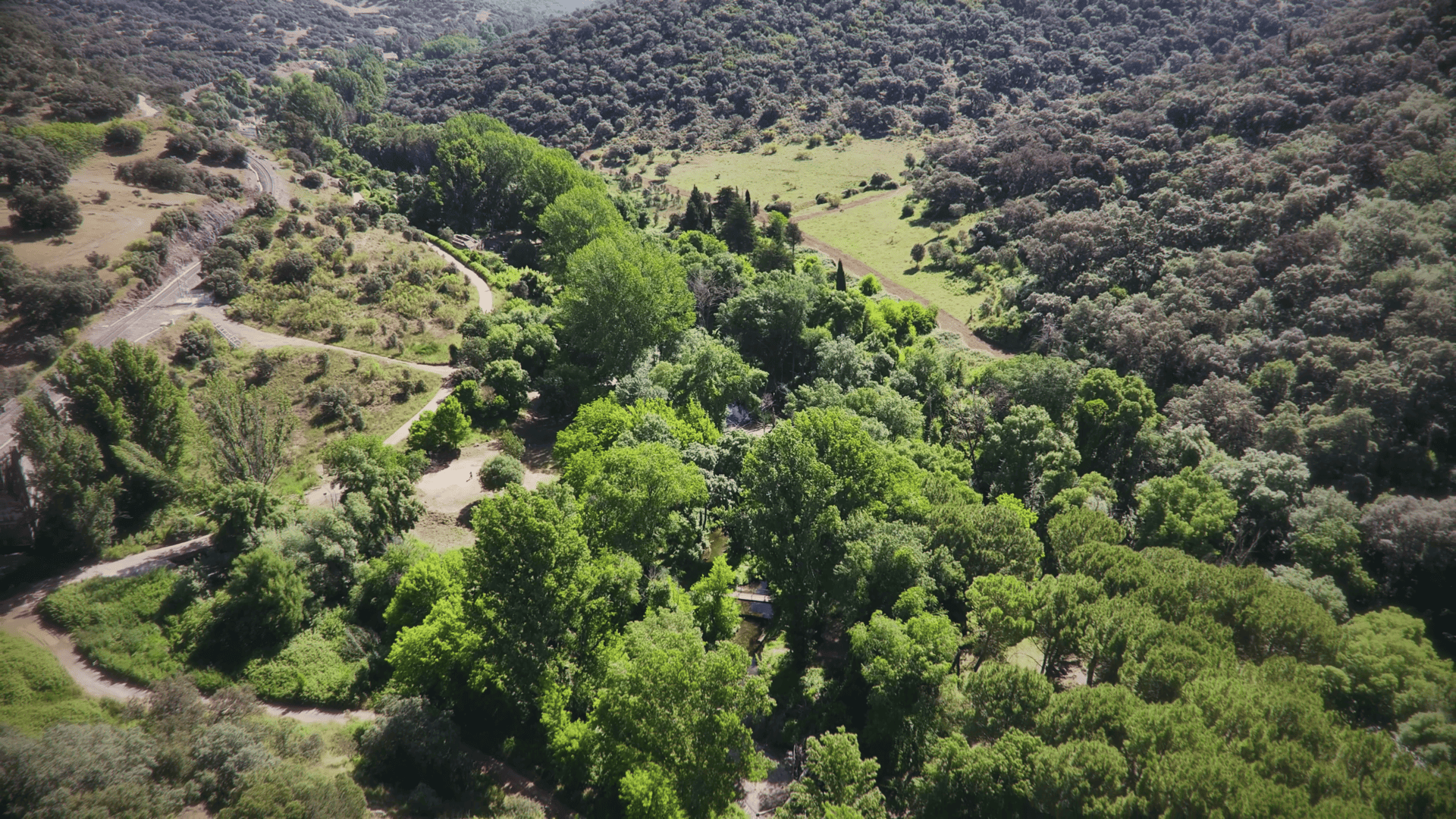 Sendero Camino Viejo