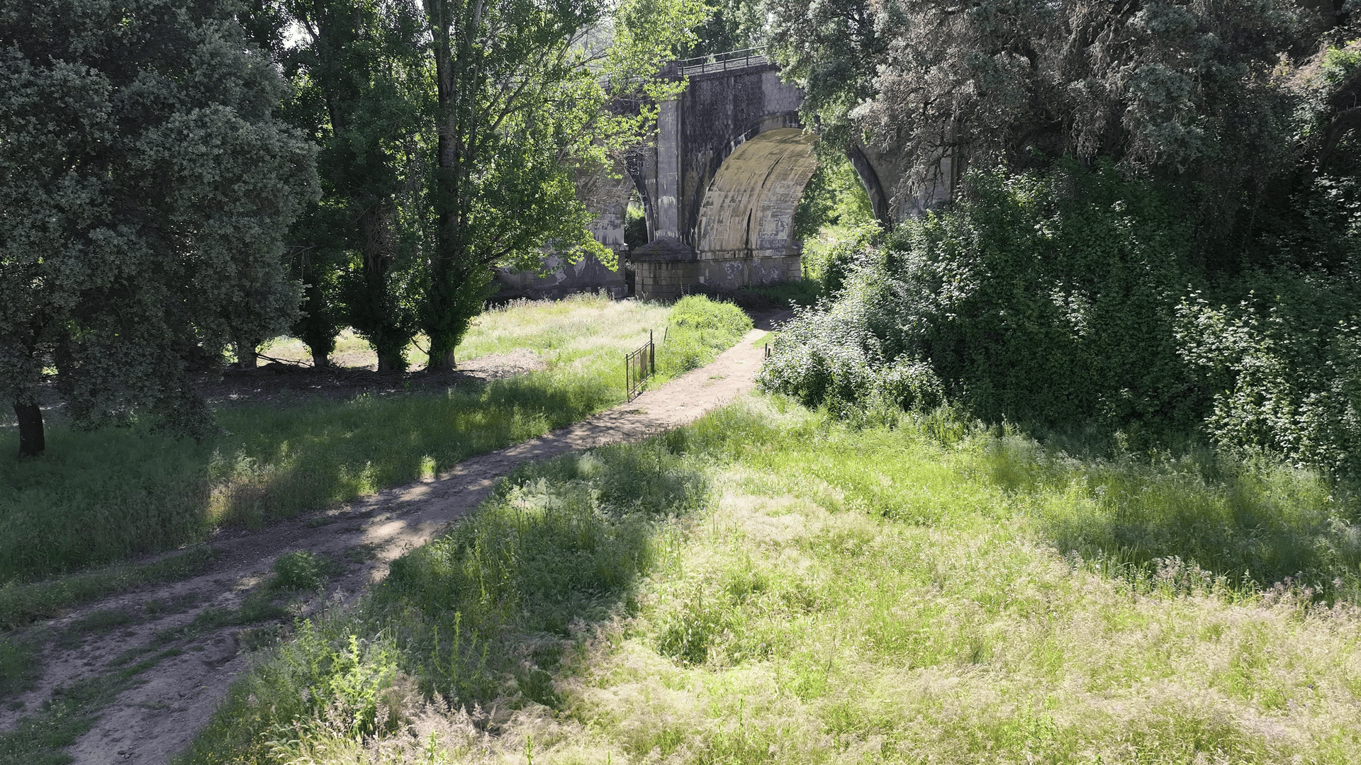 Sendero Camino Viejo