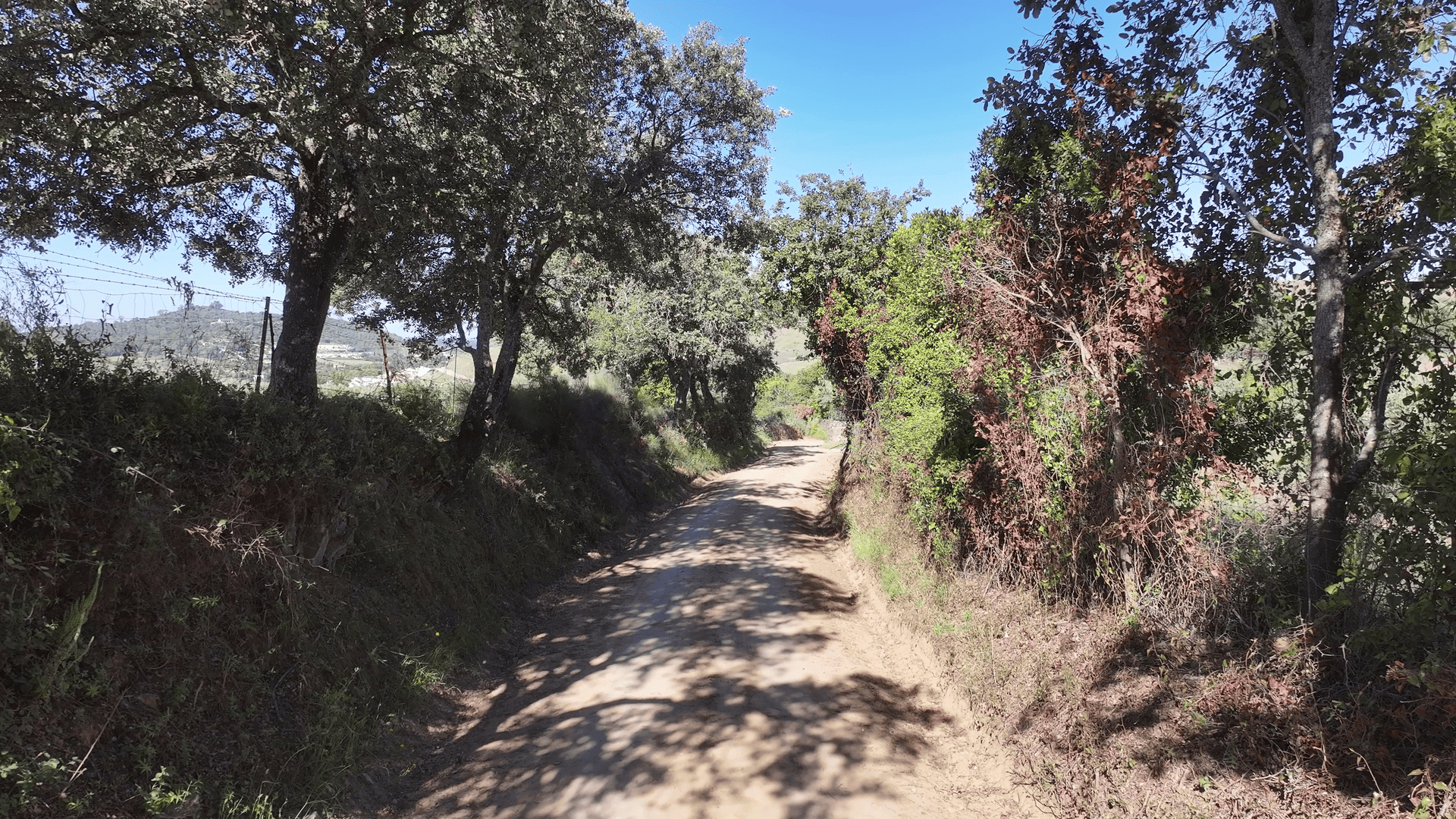 Sendero Camino Viejo