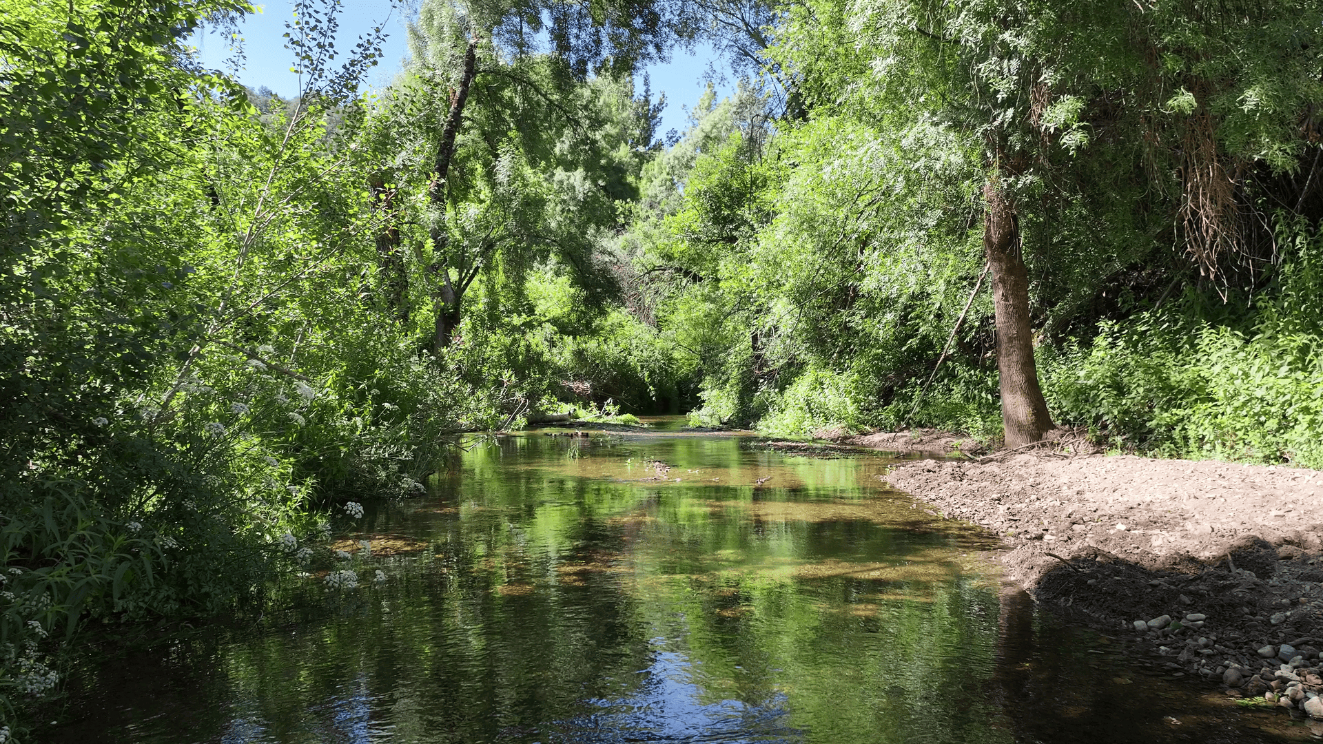 Sendero Camino Viejo