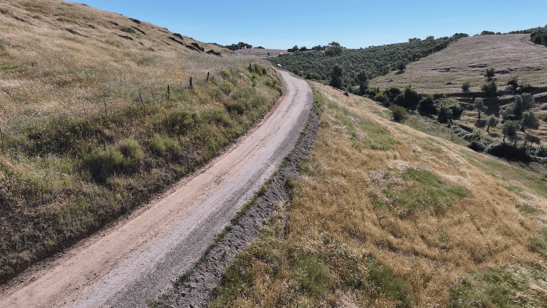 Sendero Camino Viejo
