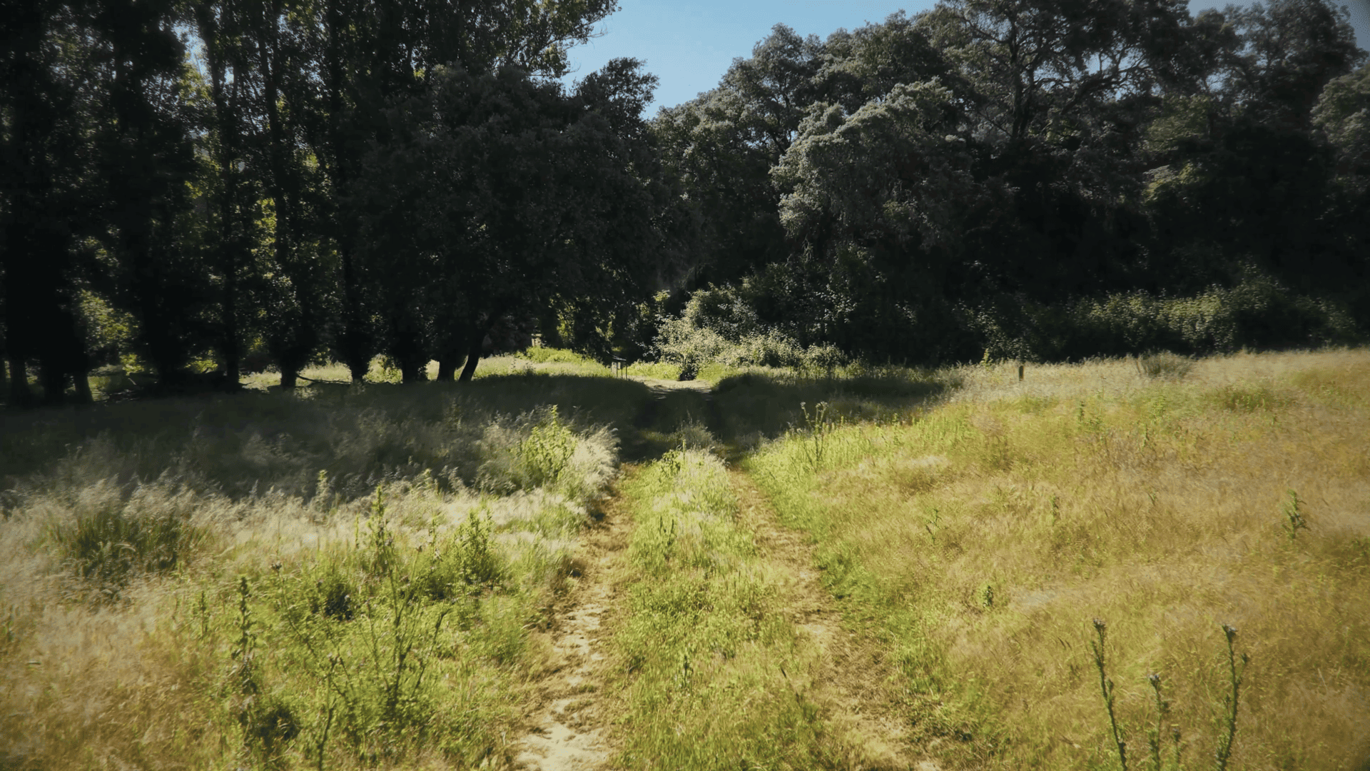 Sendero Camino Viejo