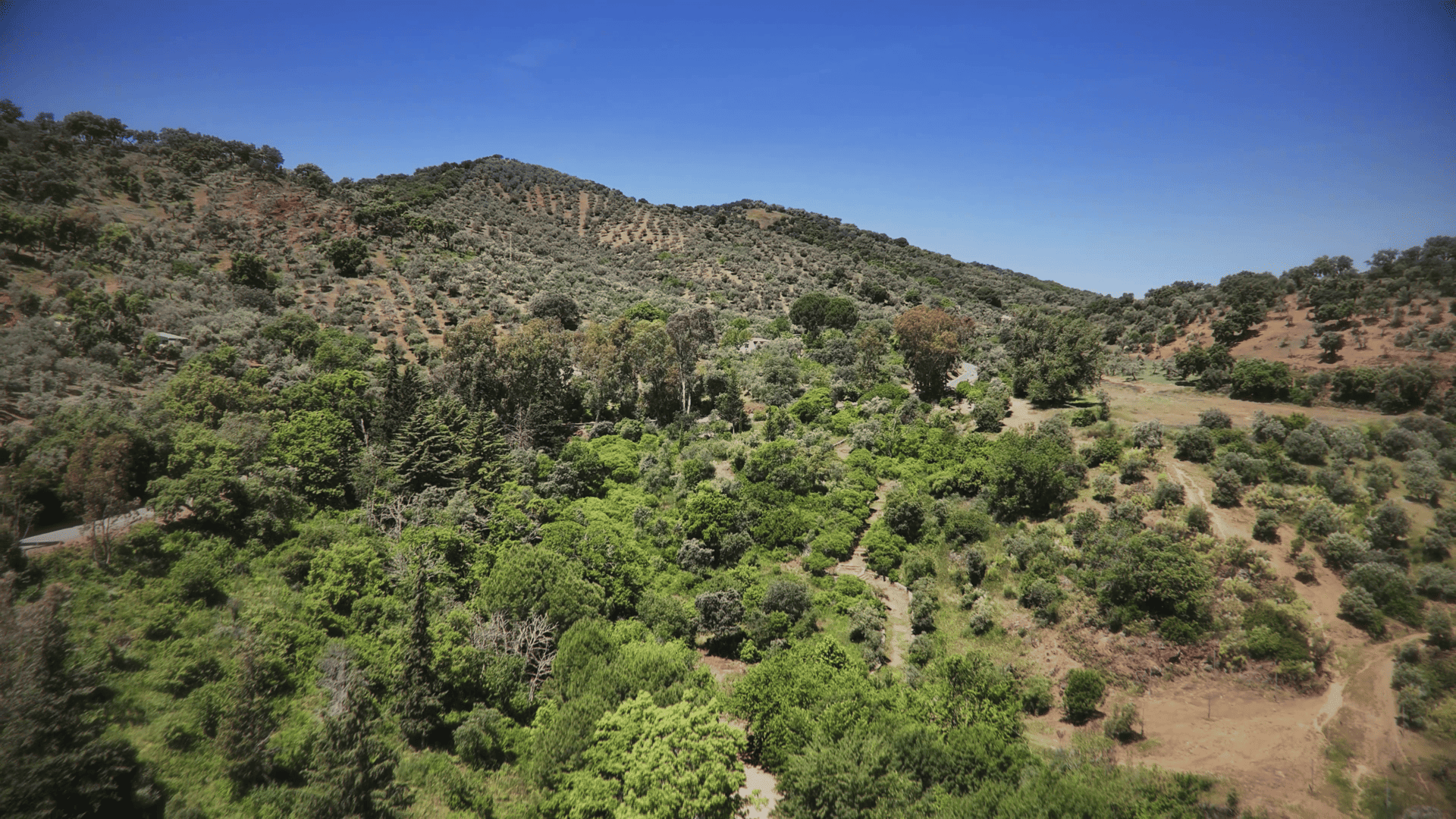 Sendero Camino Viejo