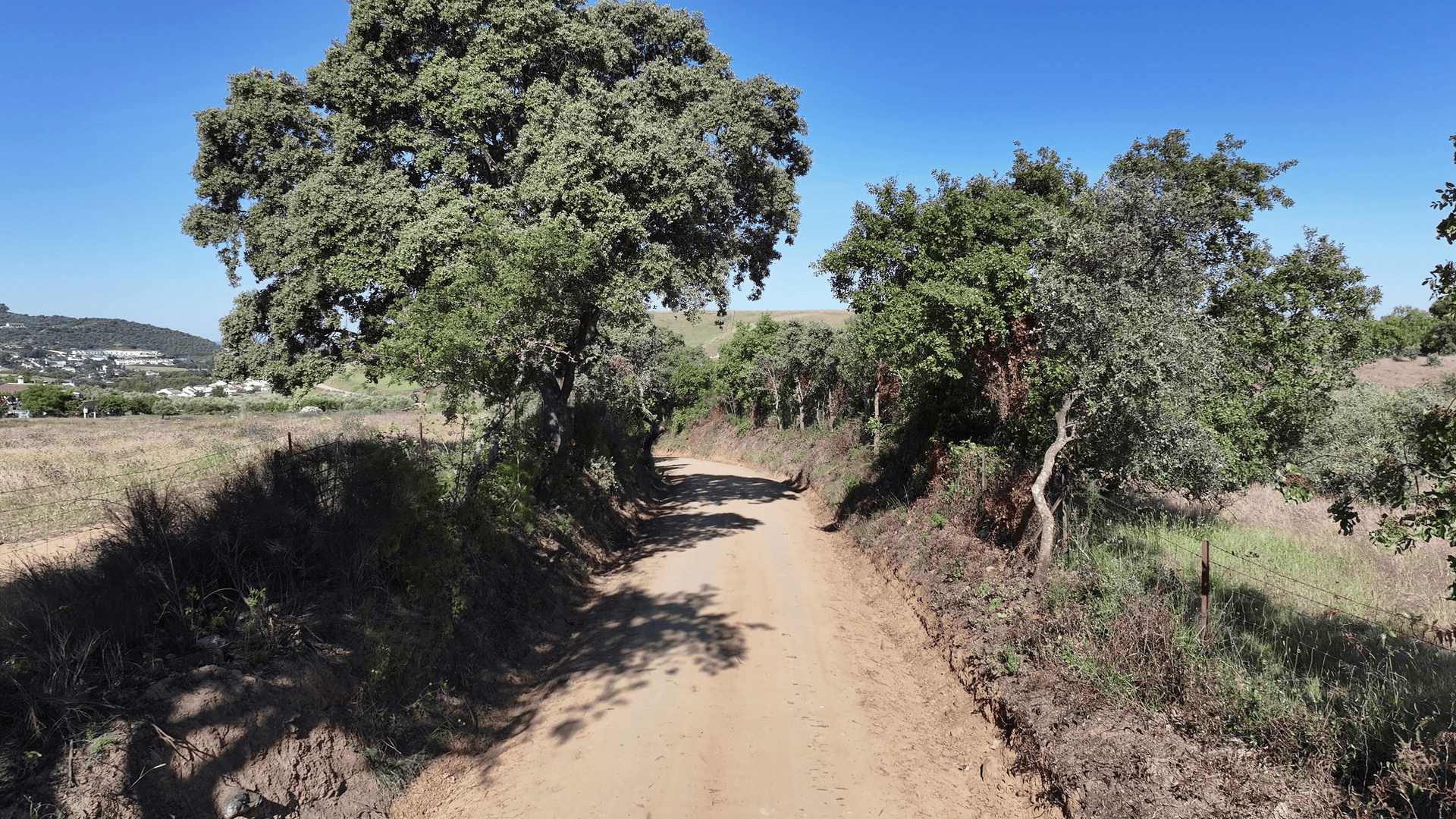 Sendero Camino Viejo