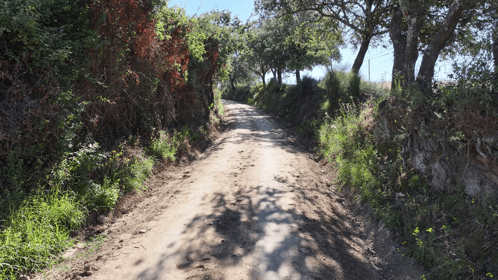 Sendero Camino Viejo