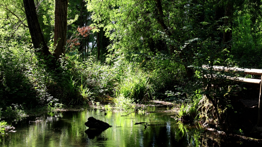 Nacimiento del río Huéznar