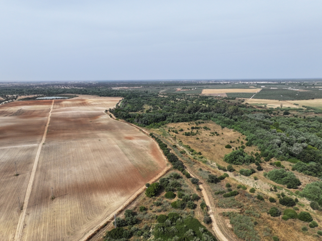 Patrimonio Natural de Aznalcázar