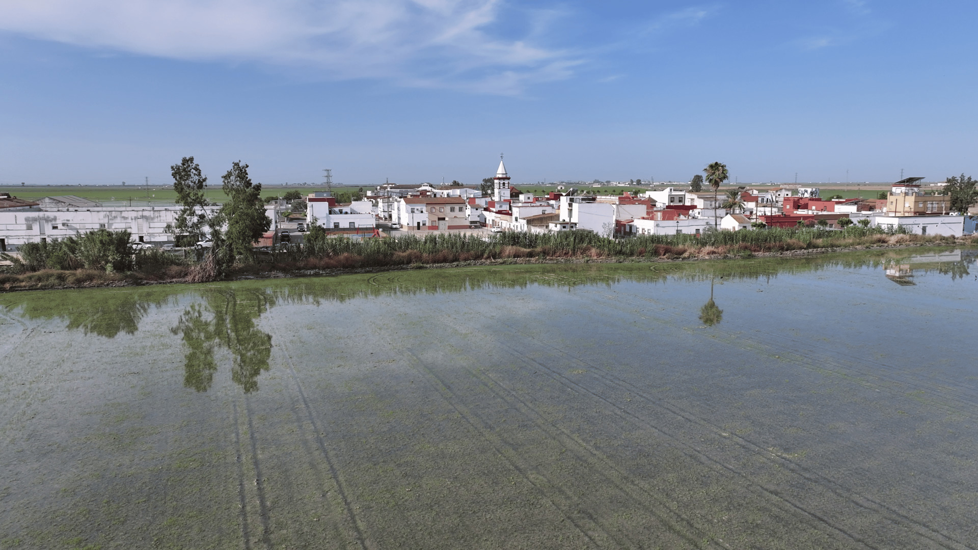 Isla Mayor