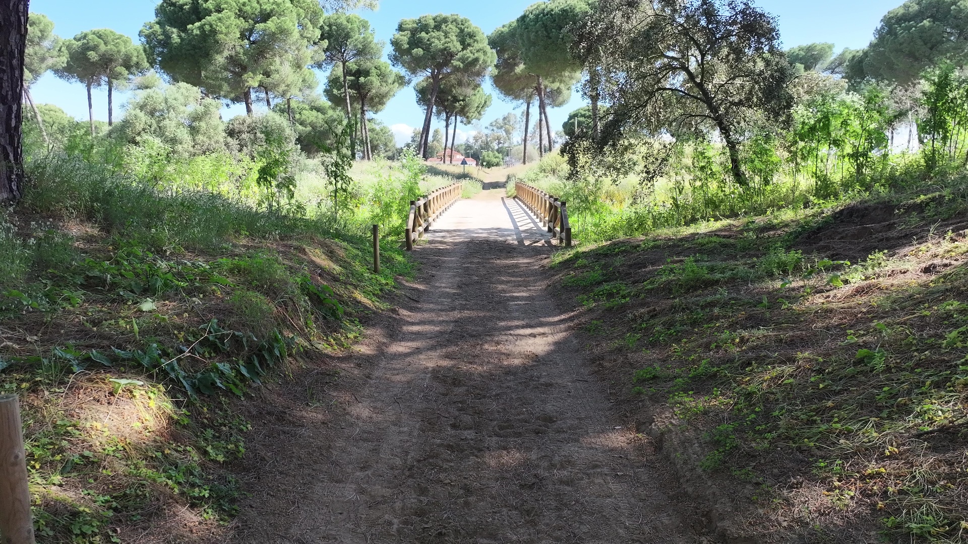 Patrimonio Natural de Villamanrique