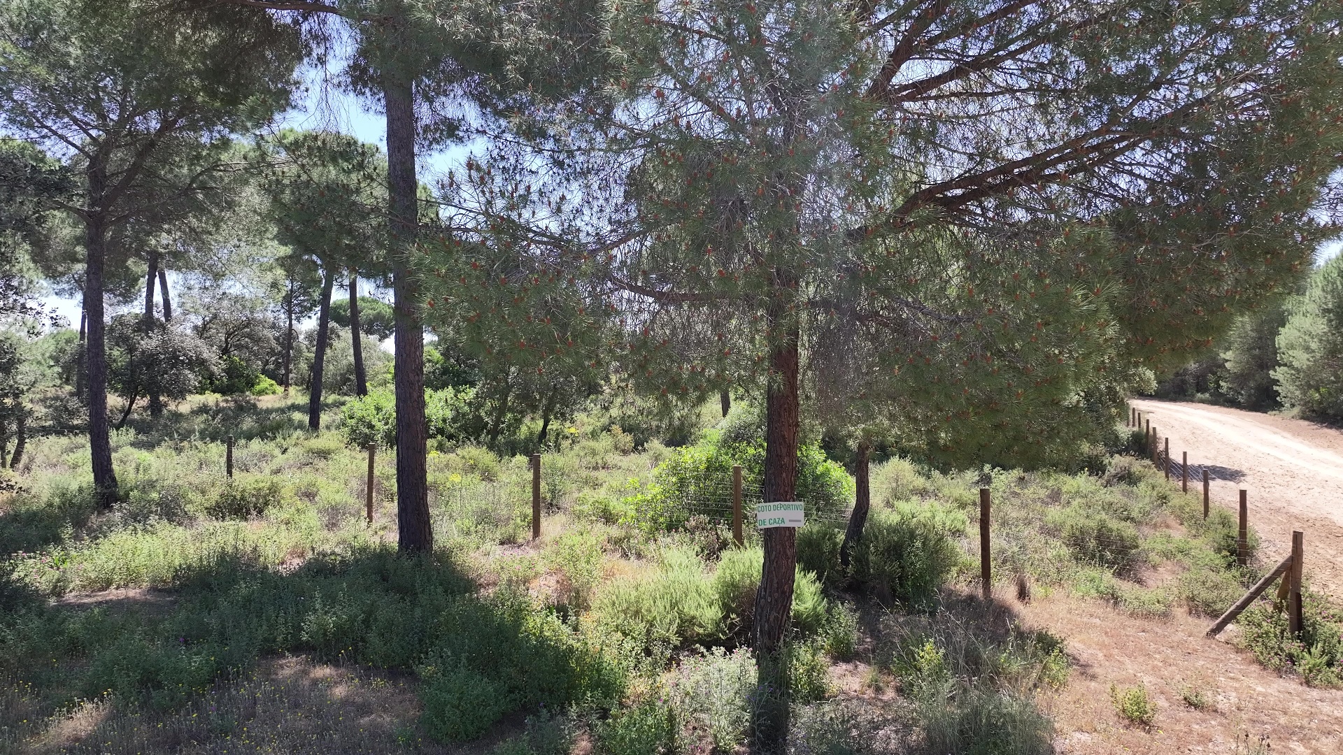 Patrimonio Natural de Villamanrique